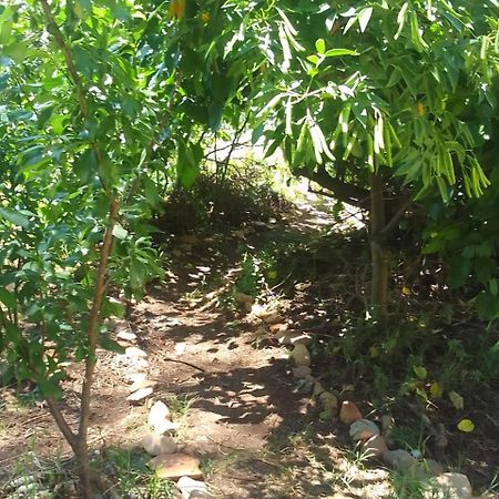 Bethany Farm Twee Riviere المظهر الخارجي الصورة