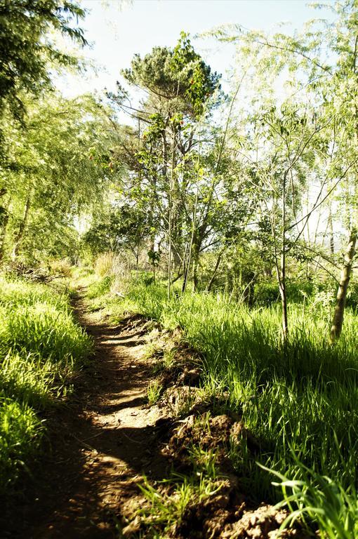 Bethany Farm Twee Riviere المظهر الخارجي الصورة