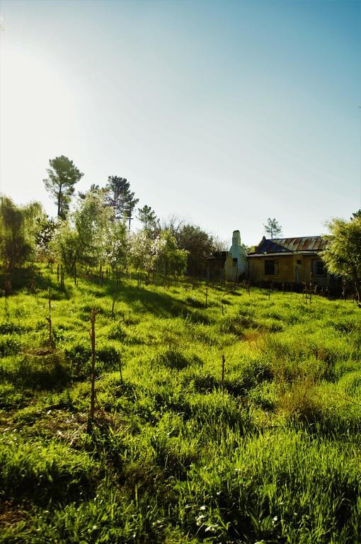 Bethany Farm Twee Riviere المظهر الخارجي الصورة
