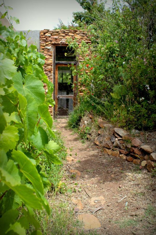 Bethany Farm Twee Riviere المظهر الخارجي الصورة