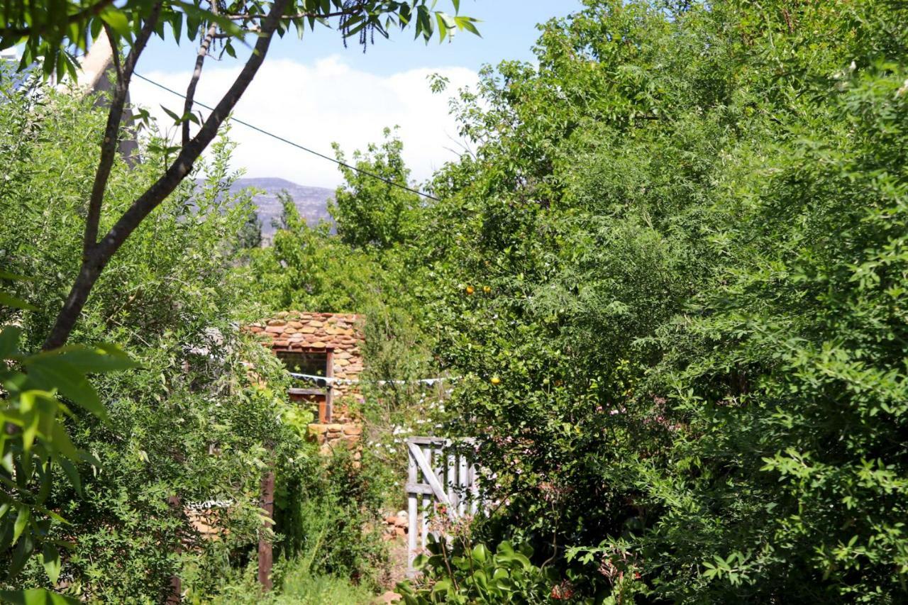 Bethany Farm Twee Riviere المظهر الخارجي الصورة